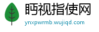 眄视指使网